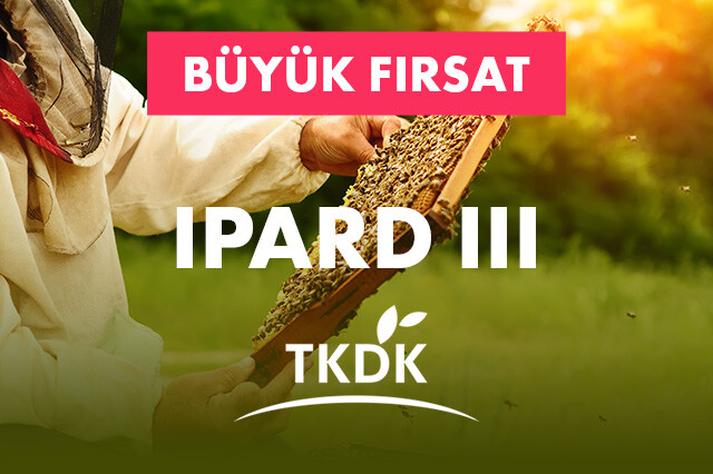 Arıcılara yönelik TKDK (IPARD III) Destekleri Bilgilendirme Semineri | Filiz POLAT